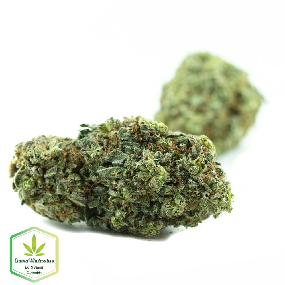 Grape Kush