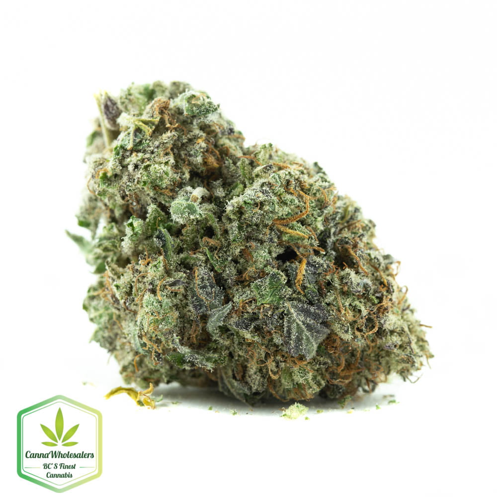 Blueberry Yum Yum
