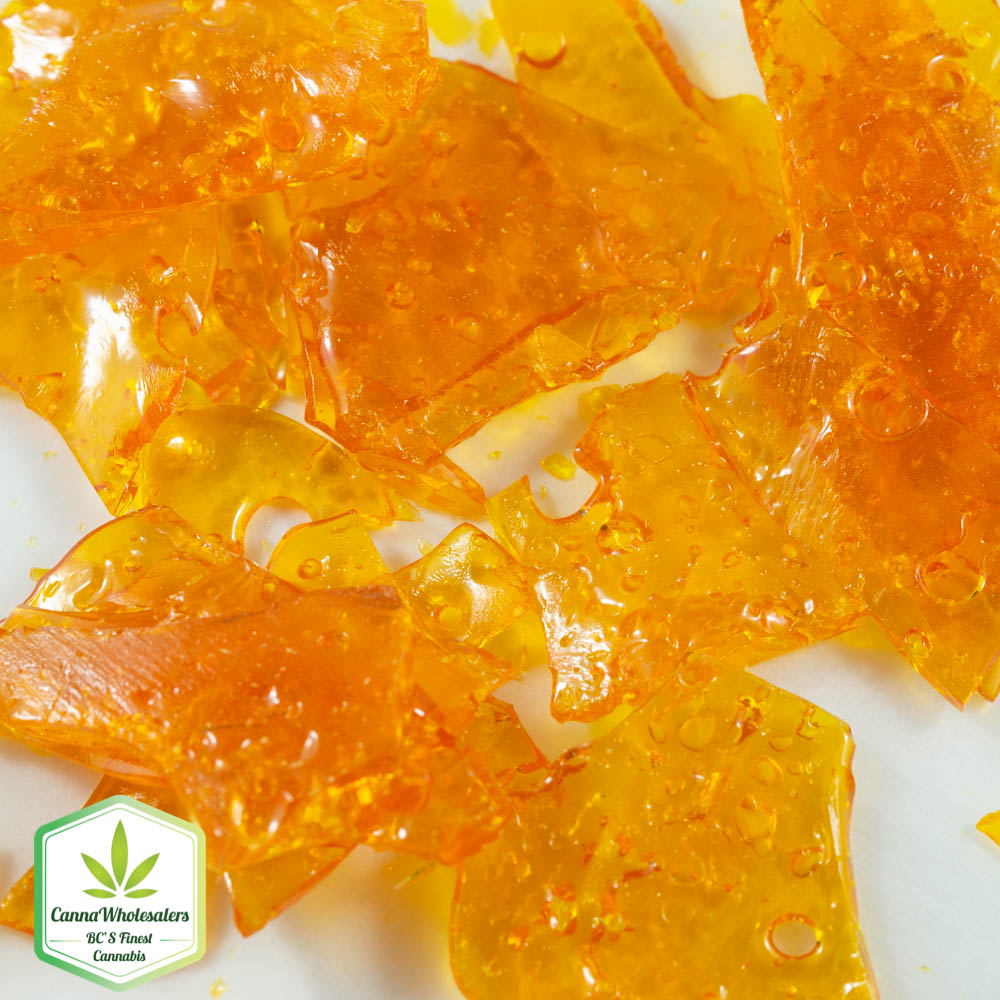 Great White Shark Shatter (Top Shelf)