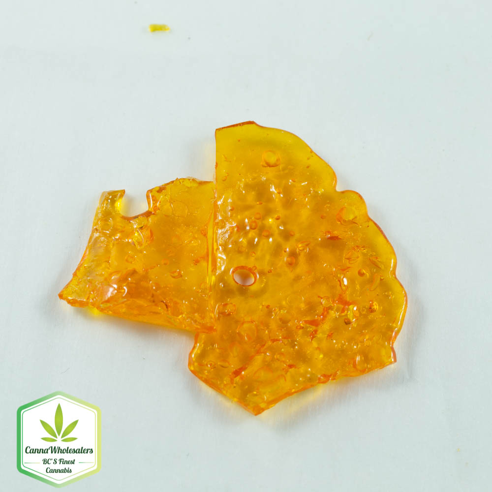 Great White Shark Shatter (Top Shelf)