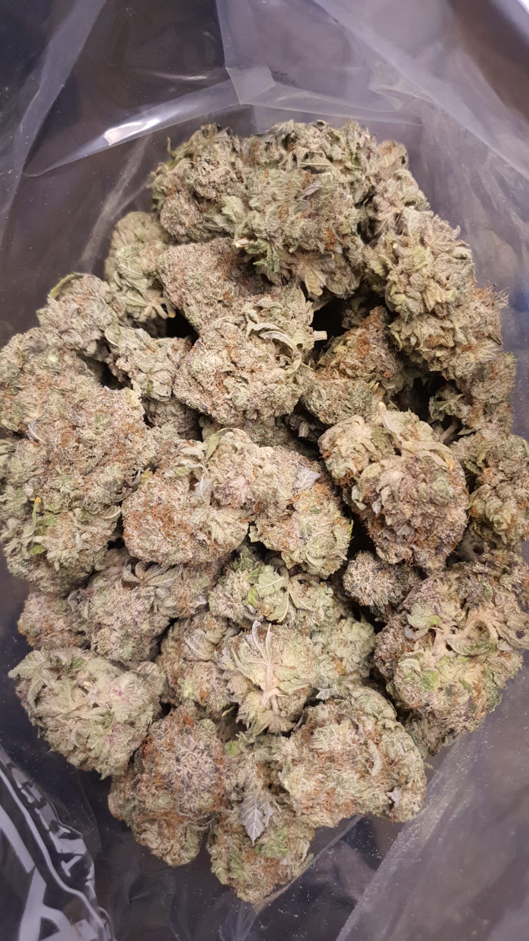 Birthday Cake Kush