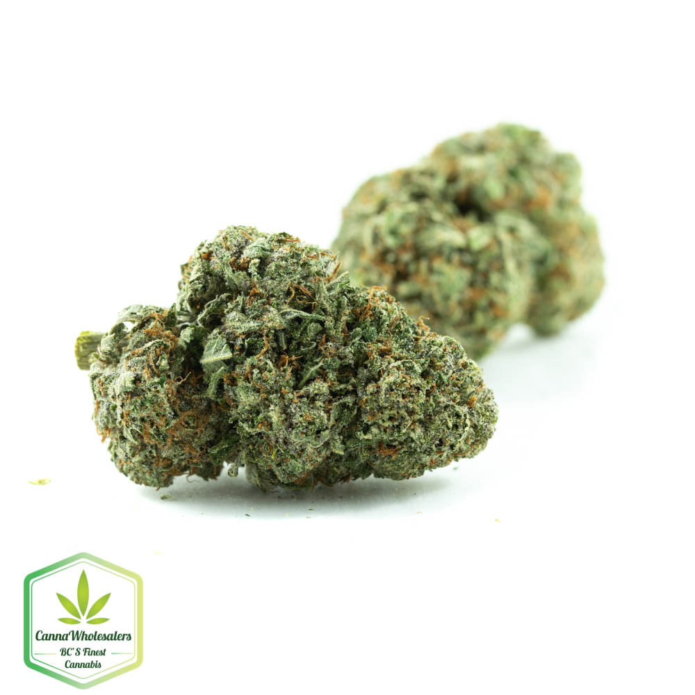 Blueberry Kush
