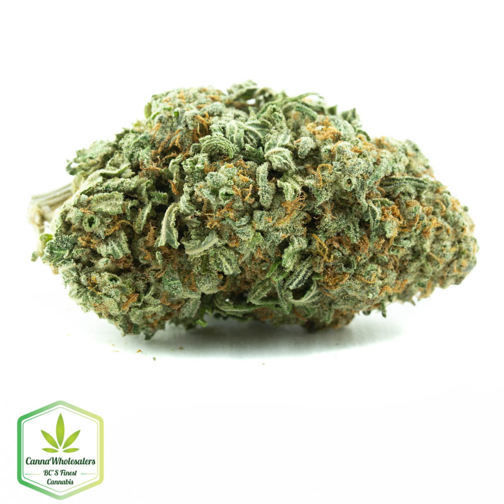 Cali Jack