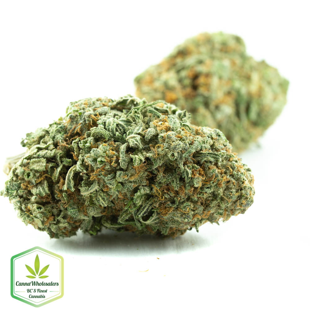 Cali Jack