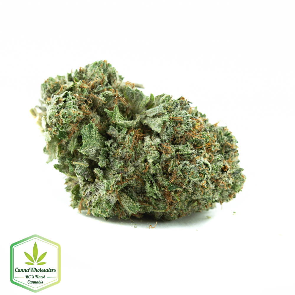 Pineapple Jack