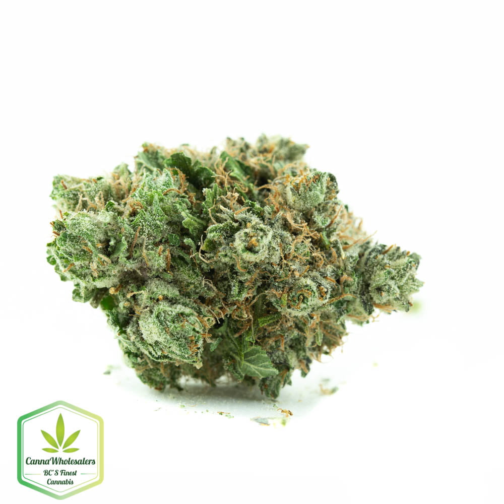Darth Vader OG
