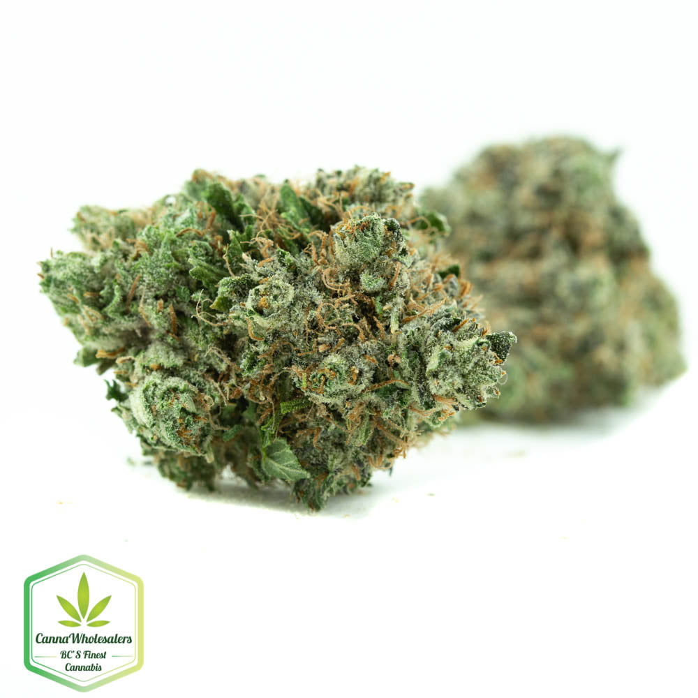 Darth Vader OG