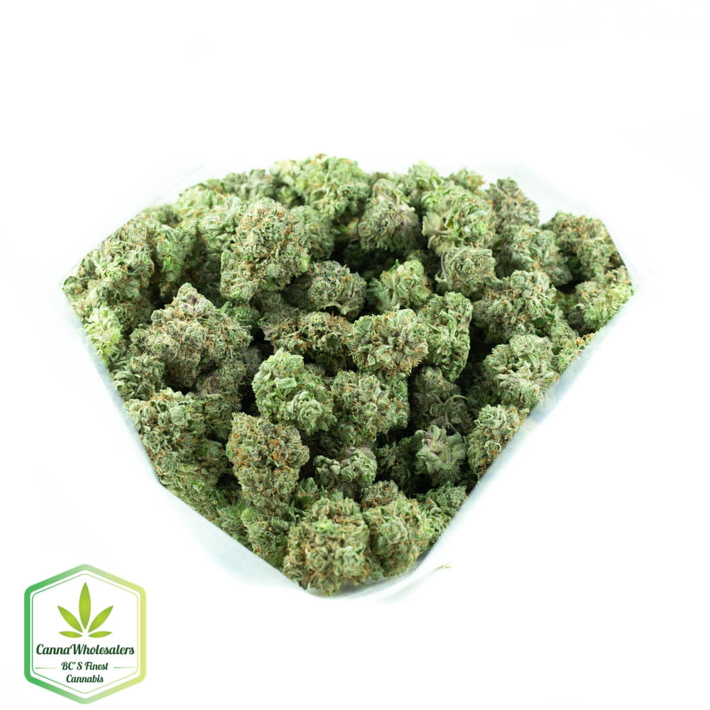 Darth Vader OG