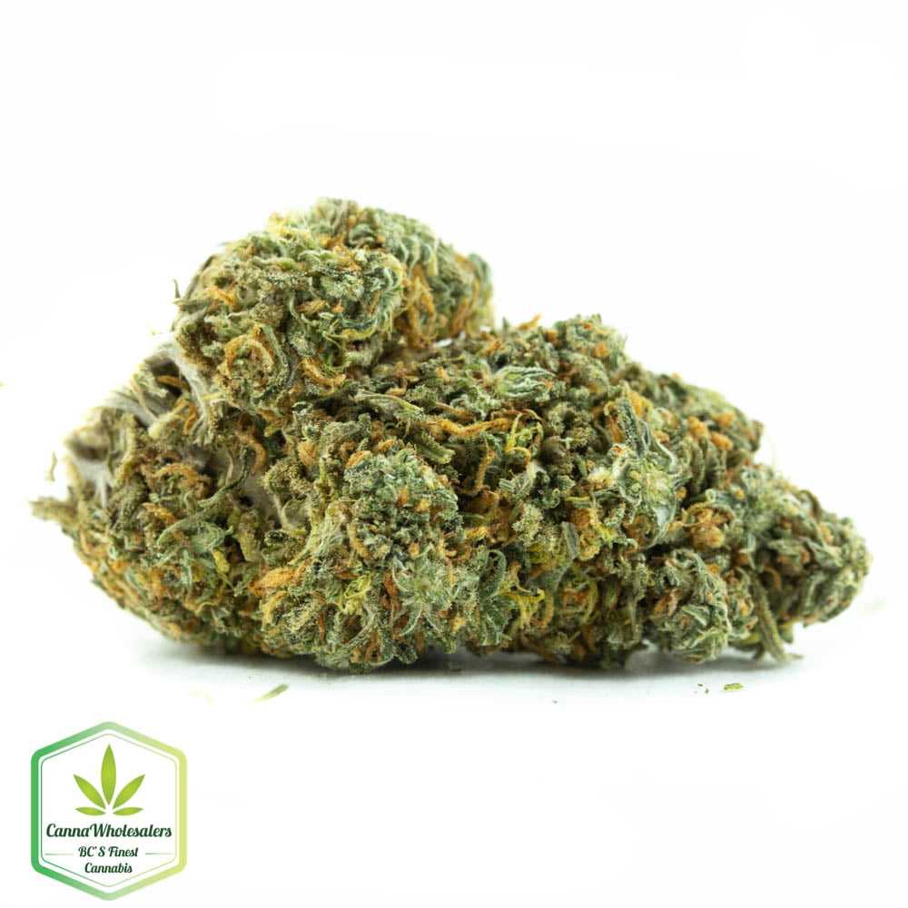 Alien Kush