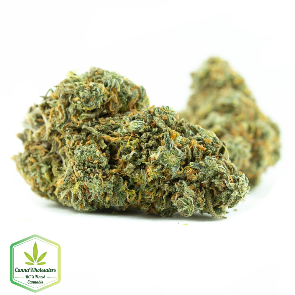 Alien Kush