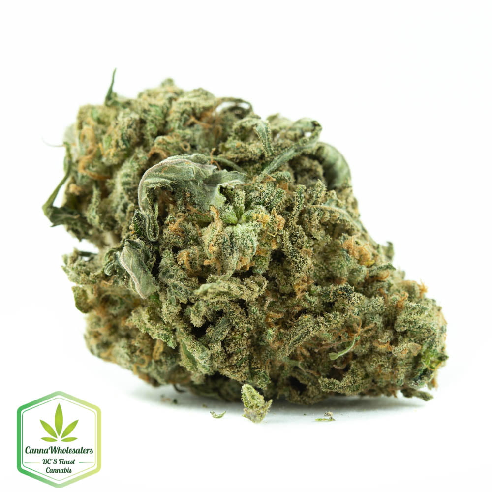 Columbian Gold
