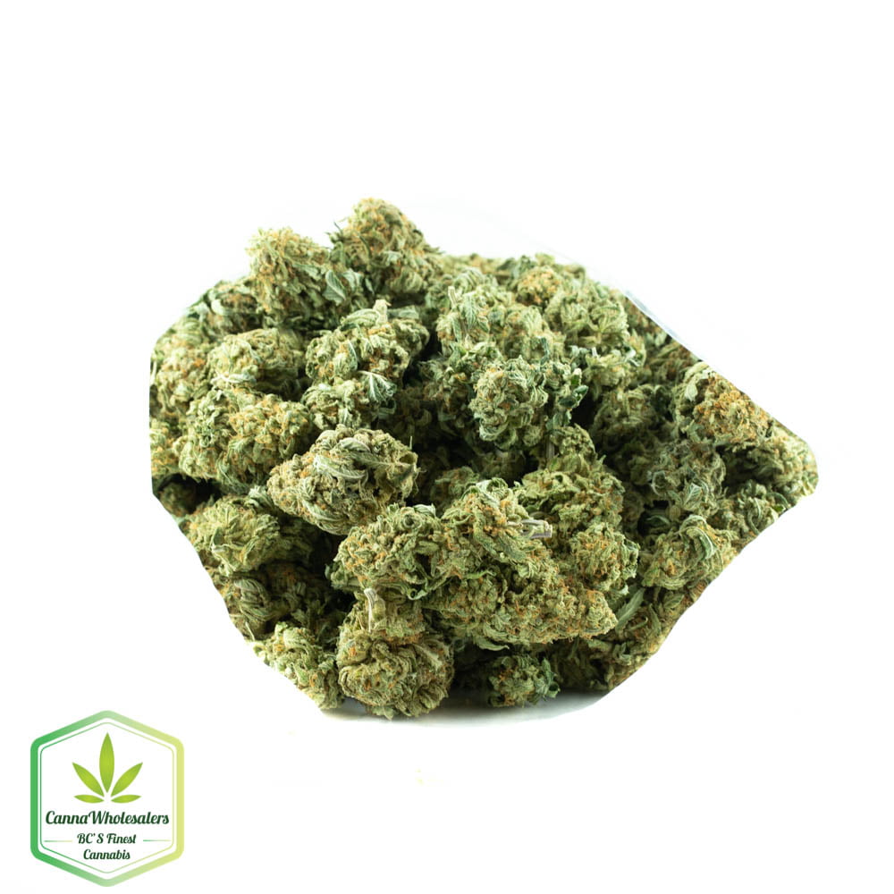 Columbian Gold
