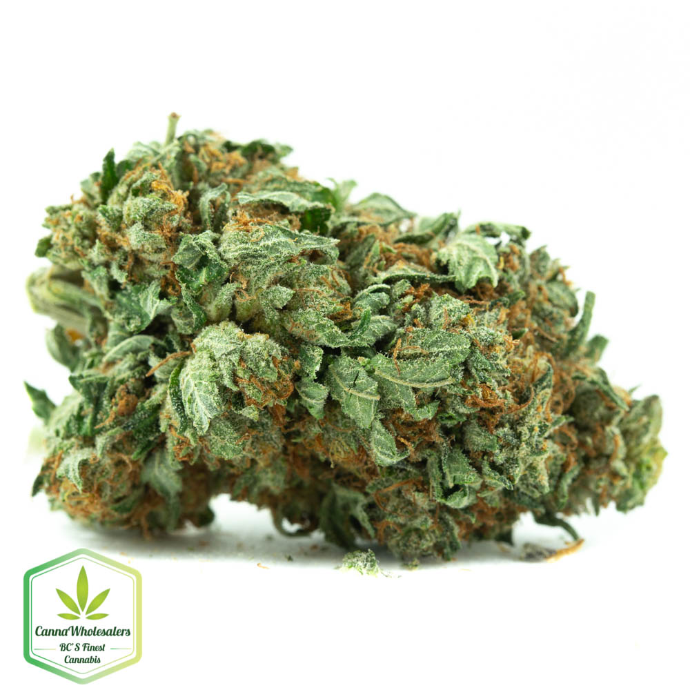 Blackberry Kush