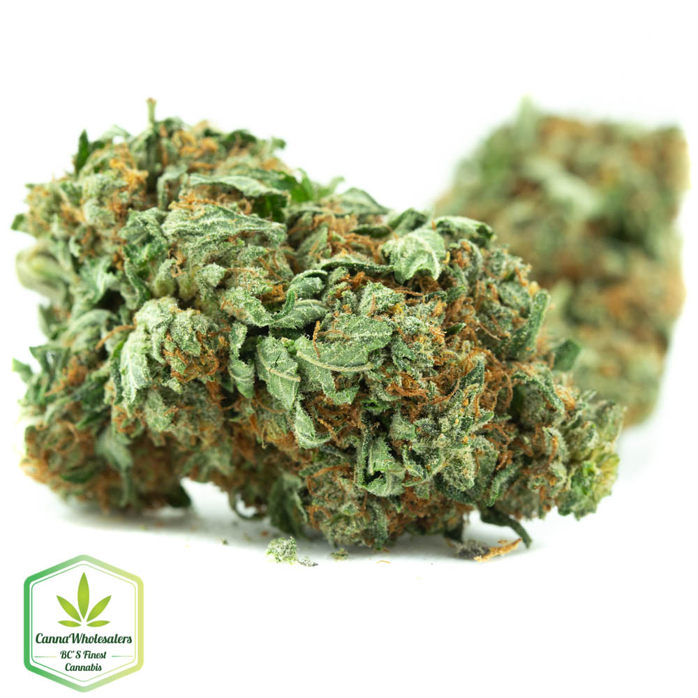 Blackberry Kush