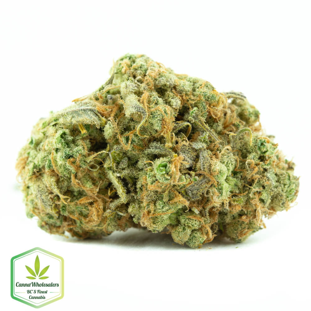 Kush-N-Cheese