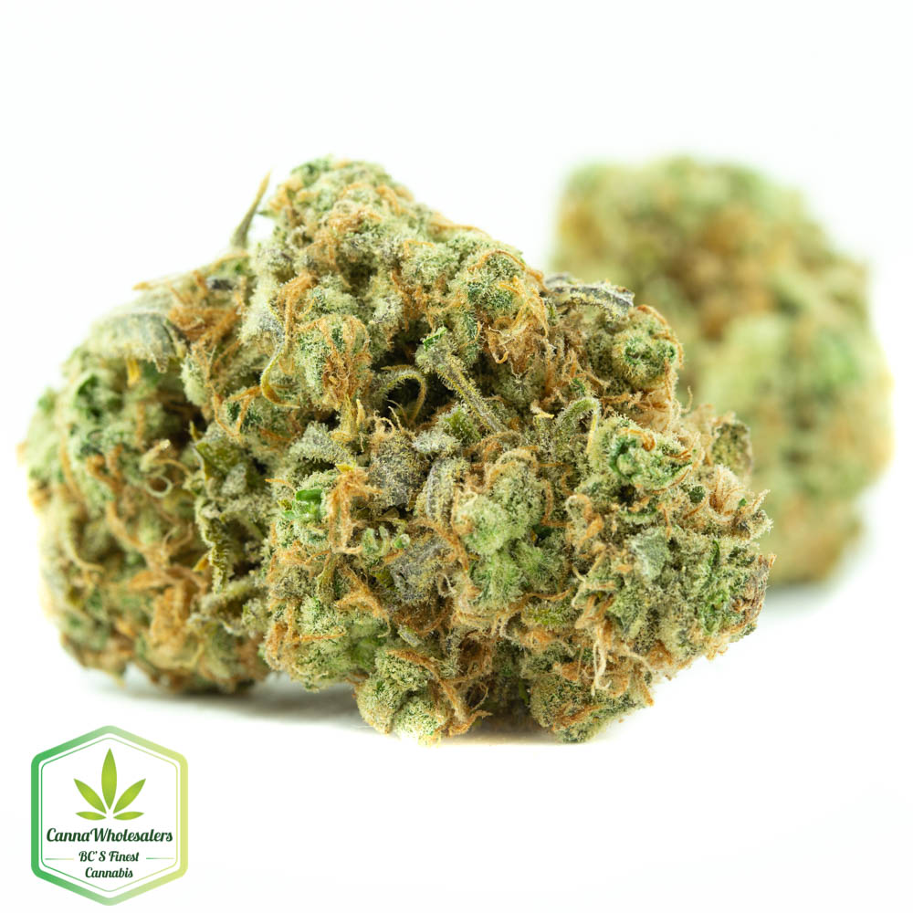 Kush-N-Cheese