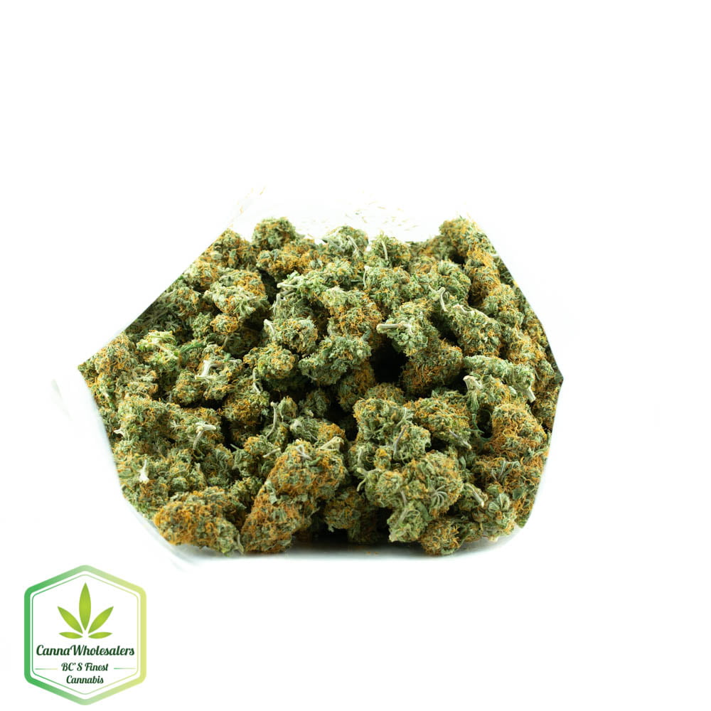 Lemon Sativa