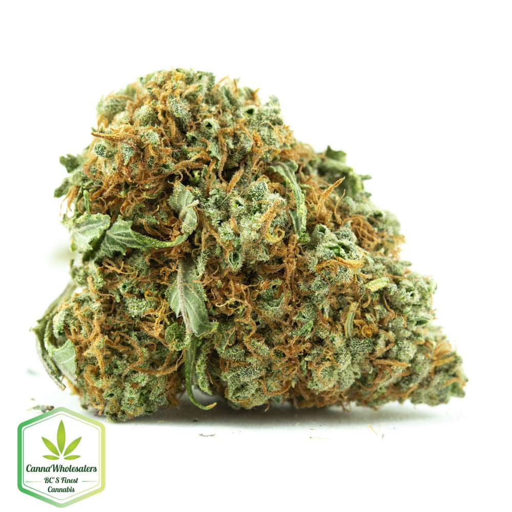 Lemon Skunk