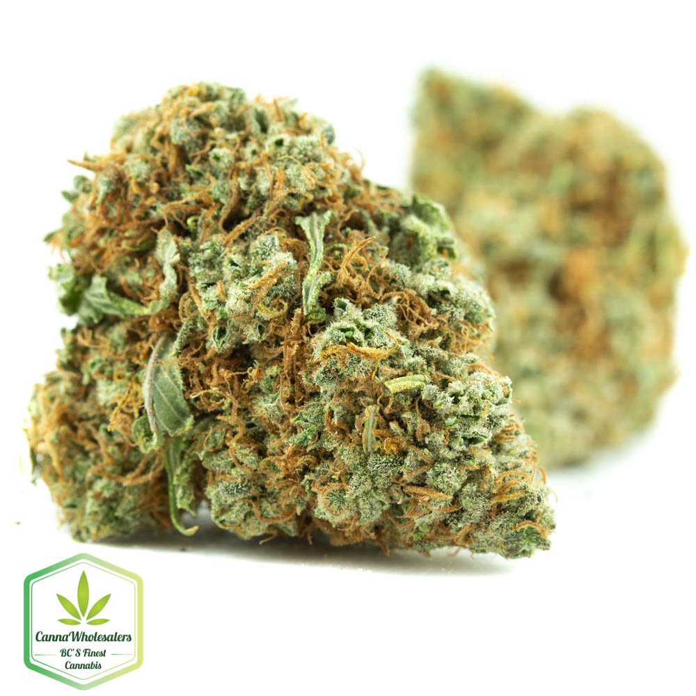 Lemon Skunk