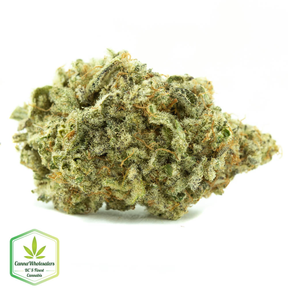 MAC 1 – Craft Gardens