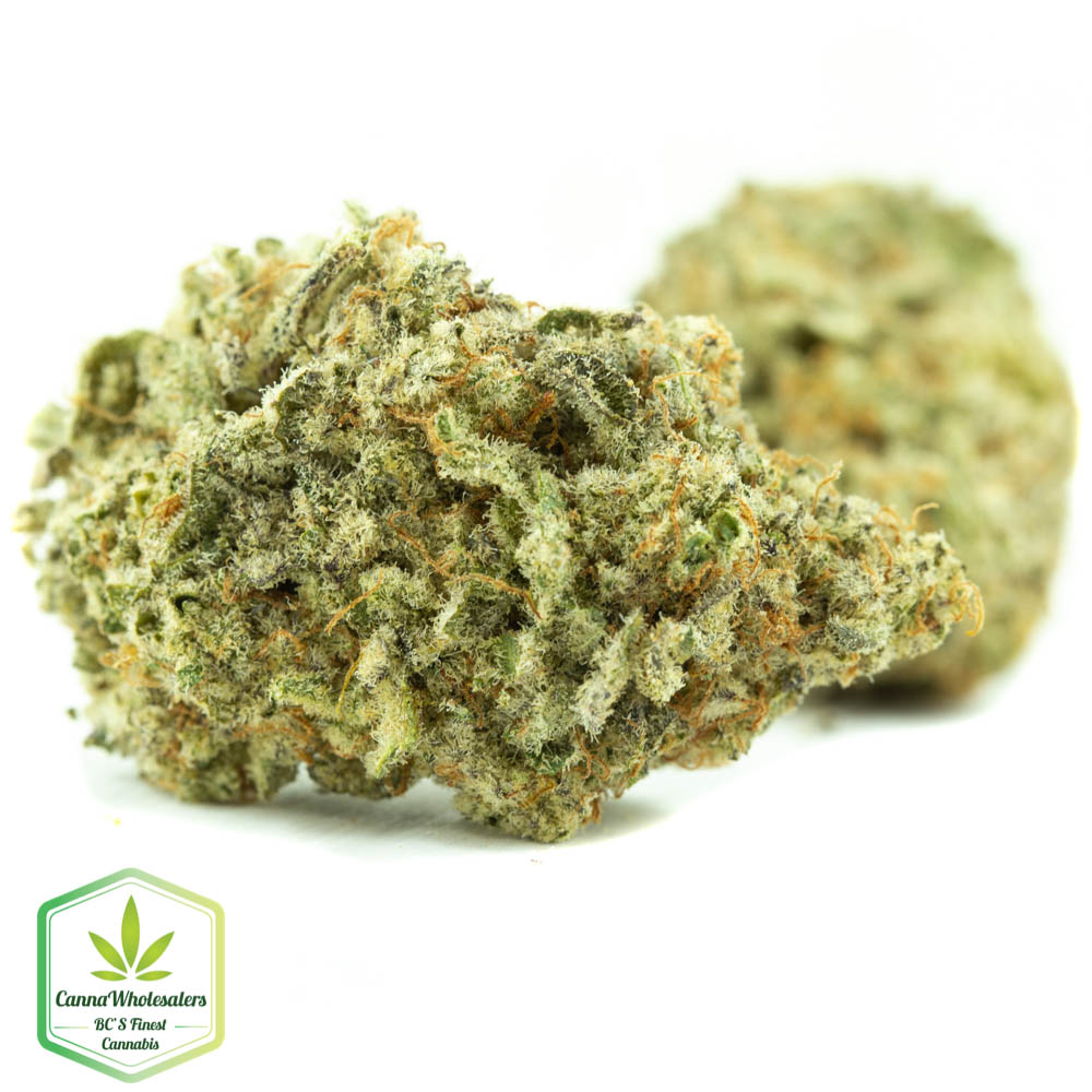 MAC 1 – Craft Gardens