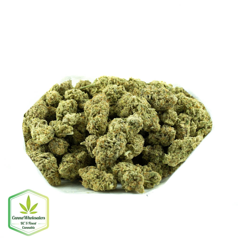 MAC 1 – Craft Gardens