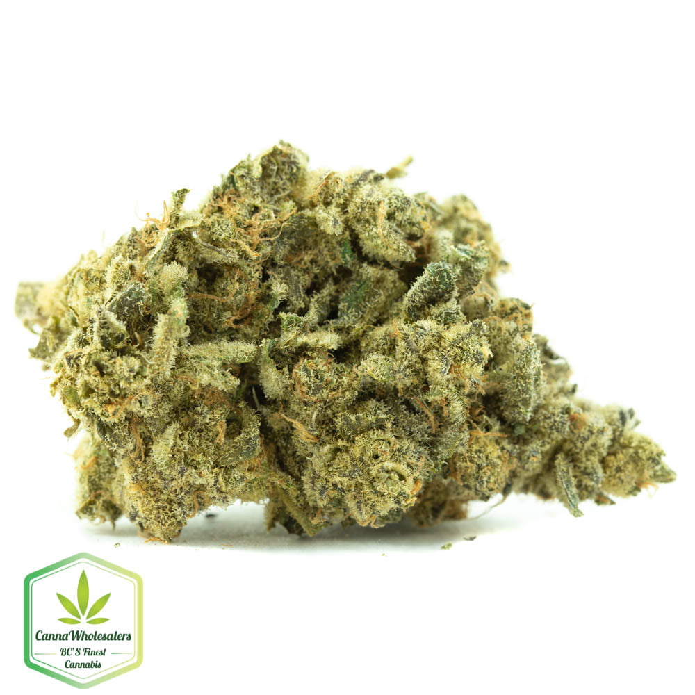 Thin Mint GSC – Craft Gardens