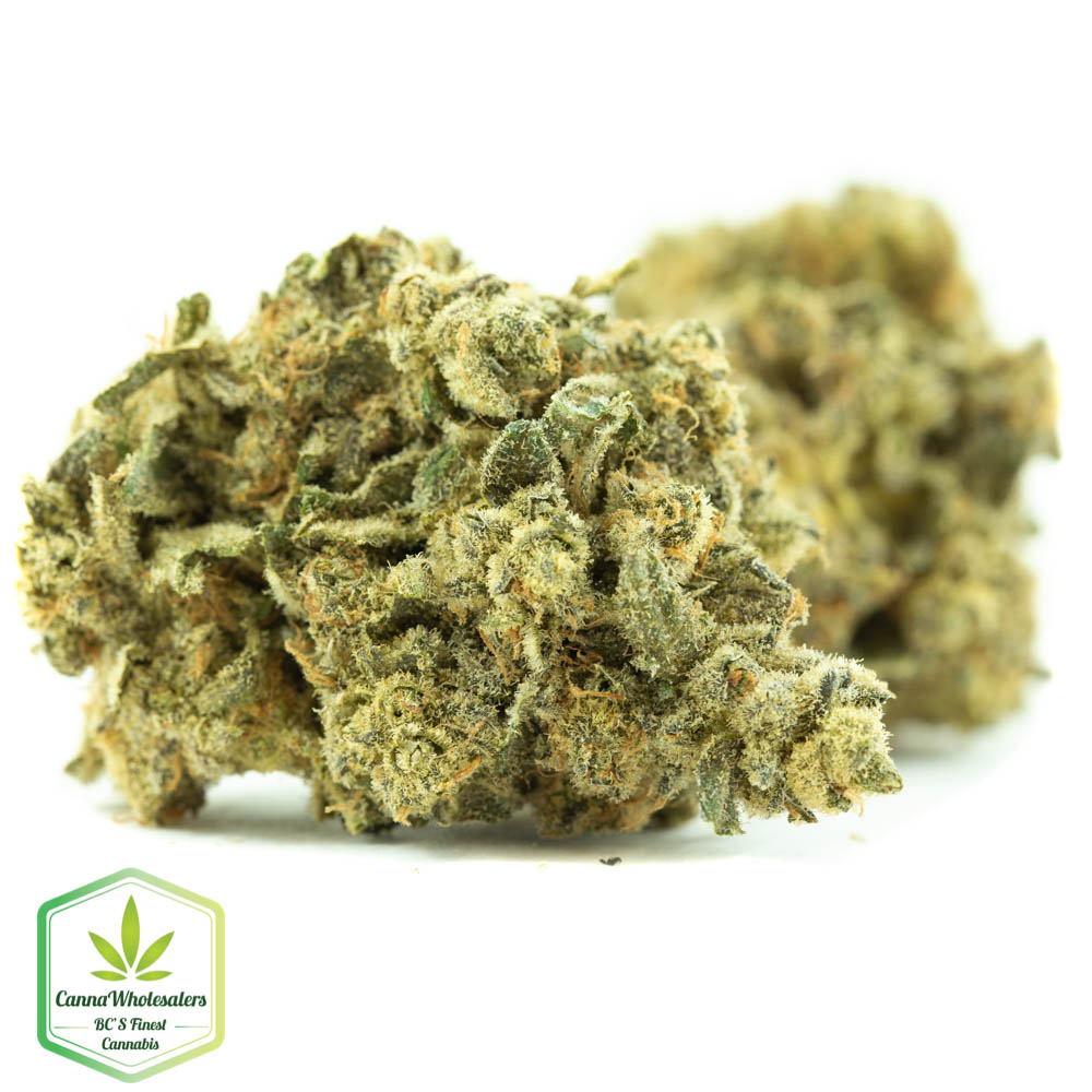 Thin Mint GSC – Craft Gardens