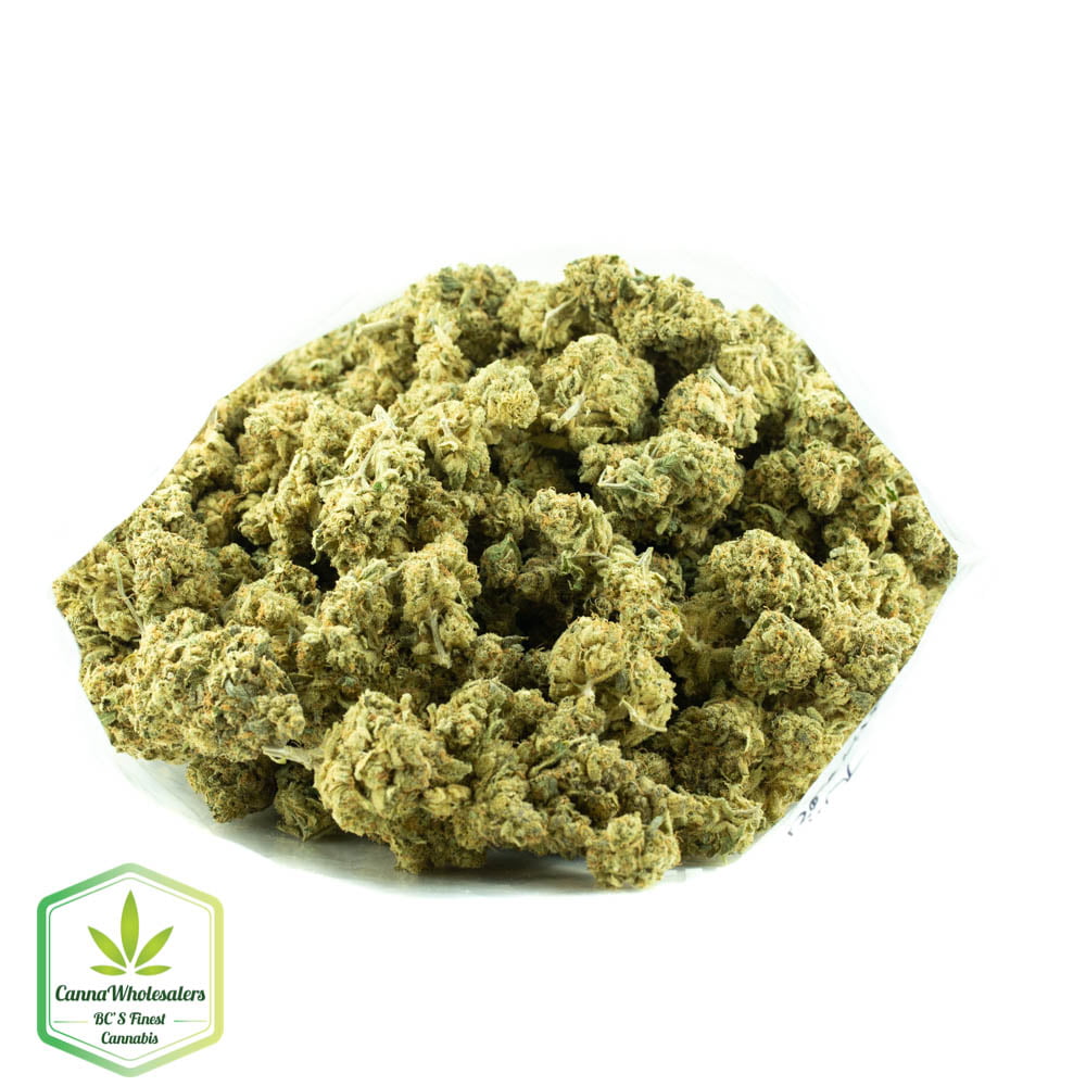 Thin Mint GSC – Craft Gardens
