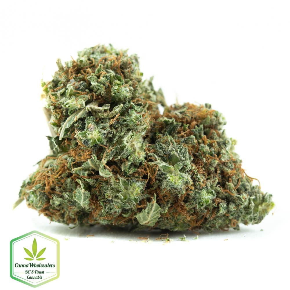 Redwood Kush