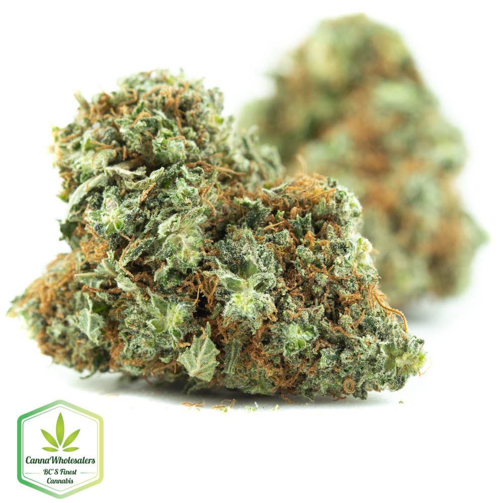 Redwood Kush