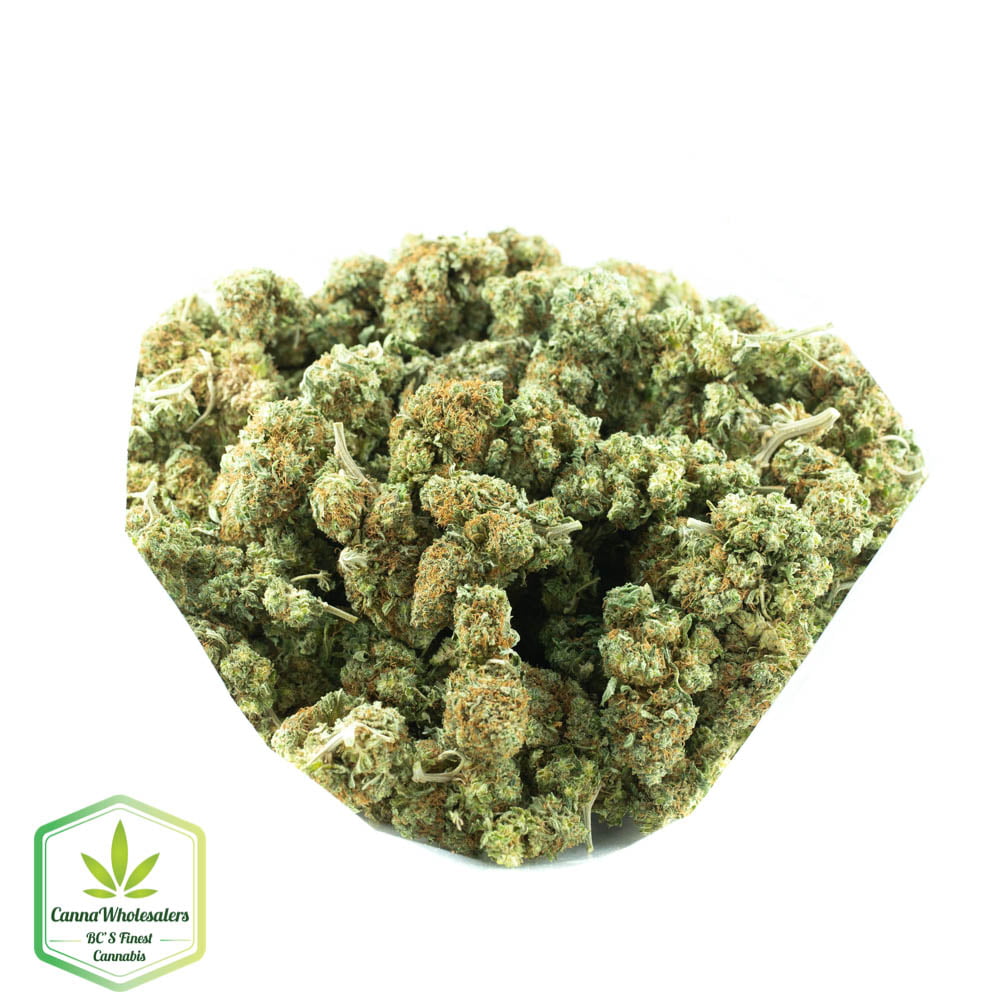 Redwood Kush