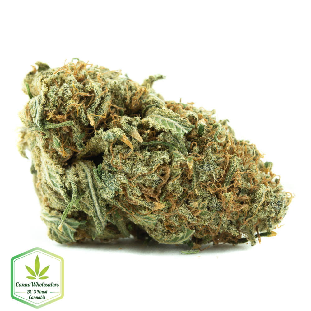 White Tahoe Cookies