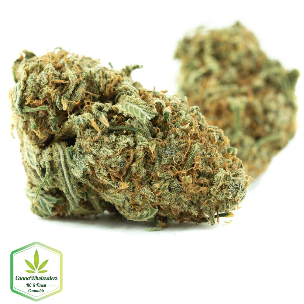 White Tahoe Cookies