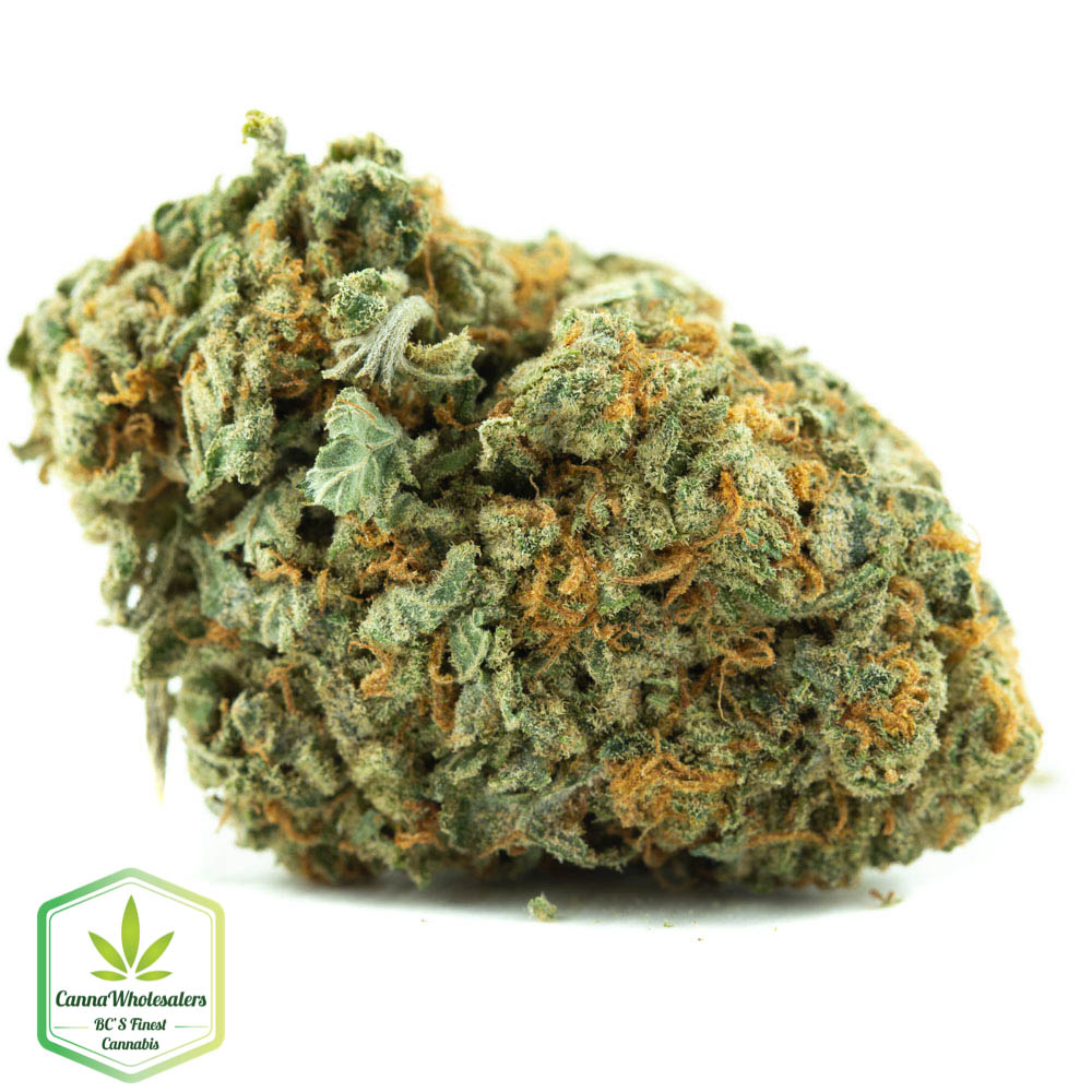 Budget Bulk LA OG
