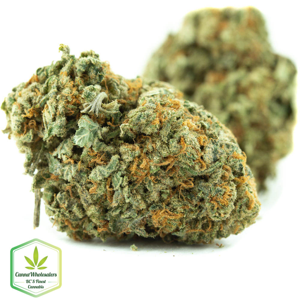 Budget Bulk LA OG