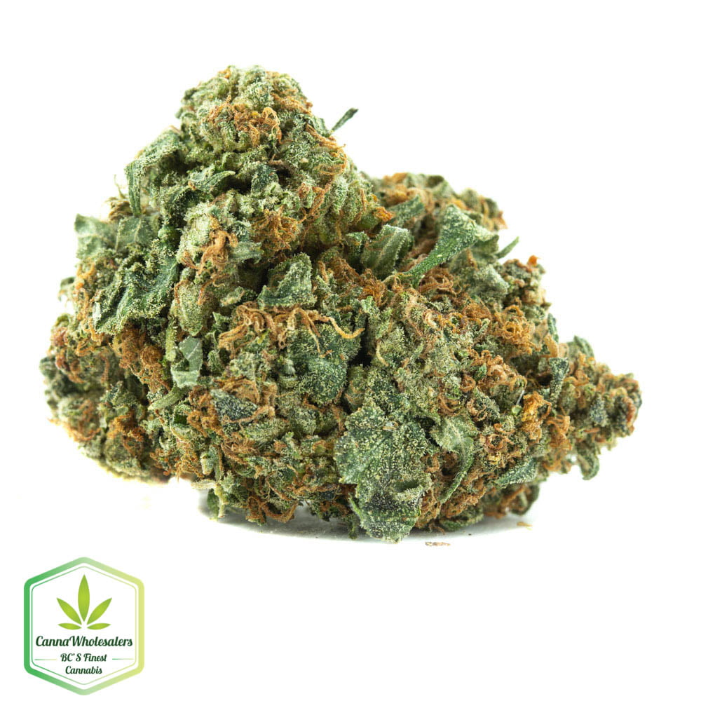 Master OG