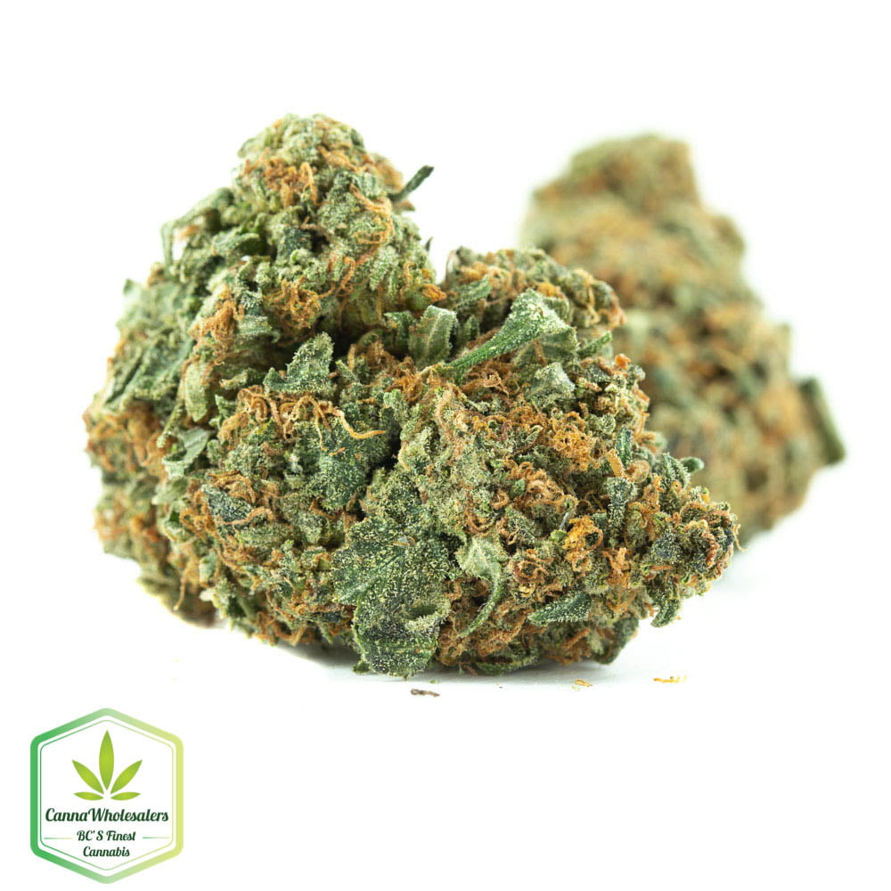 Master OG