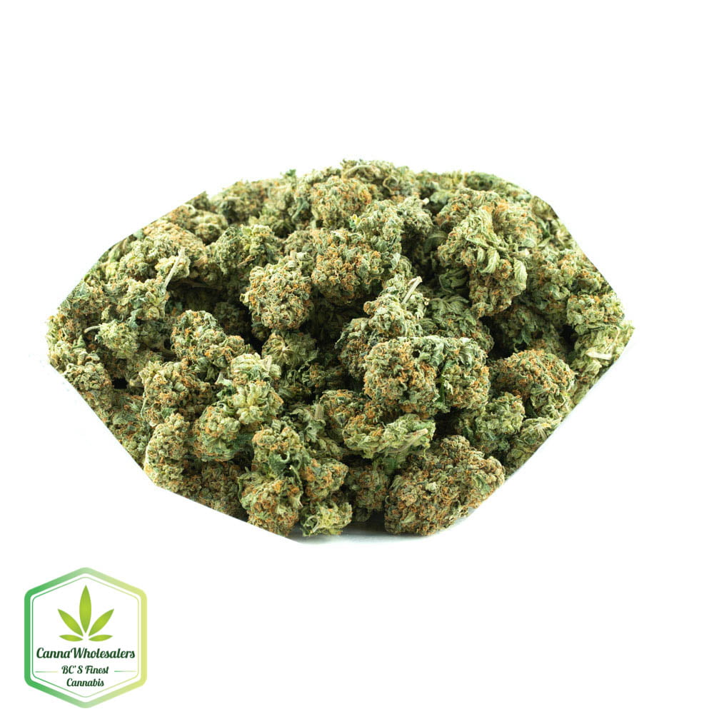 Master OG