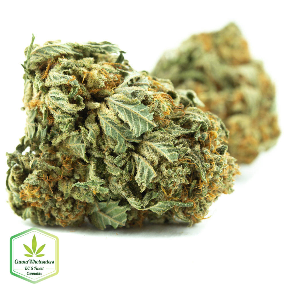 Platinum OG