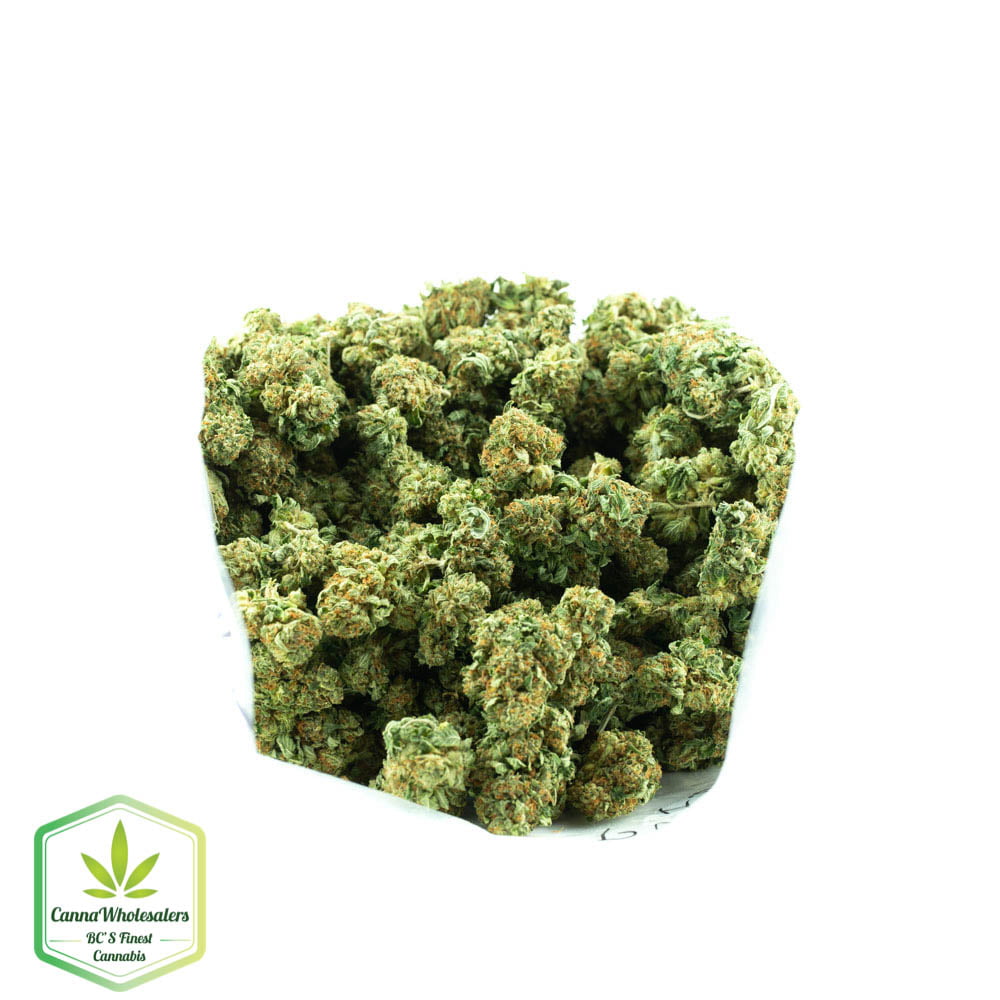 Purple Hindu Kush