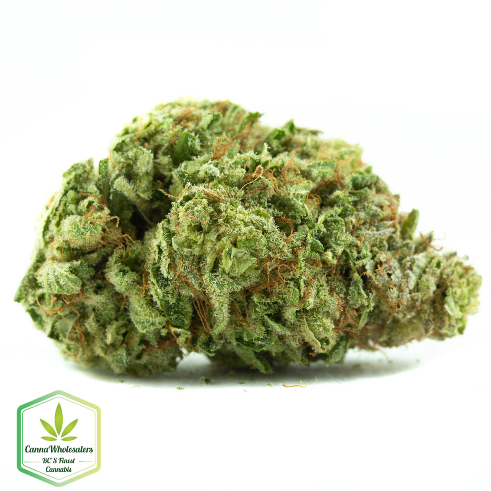 Violator Kush
