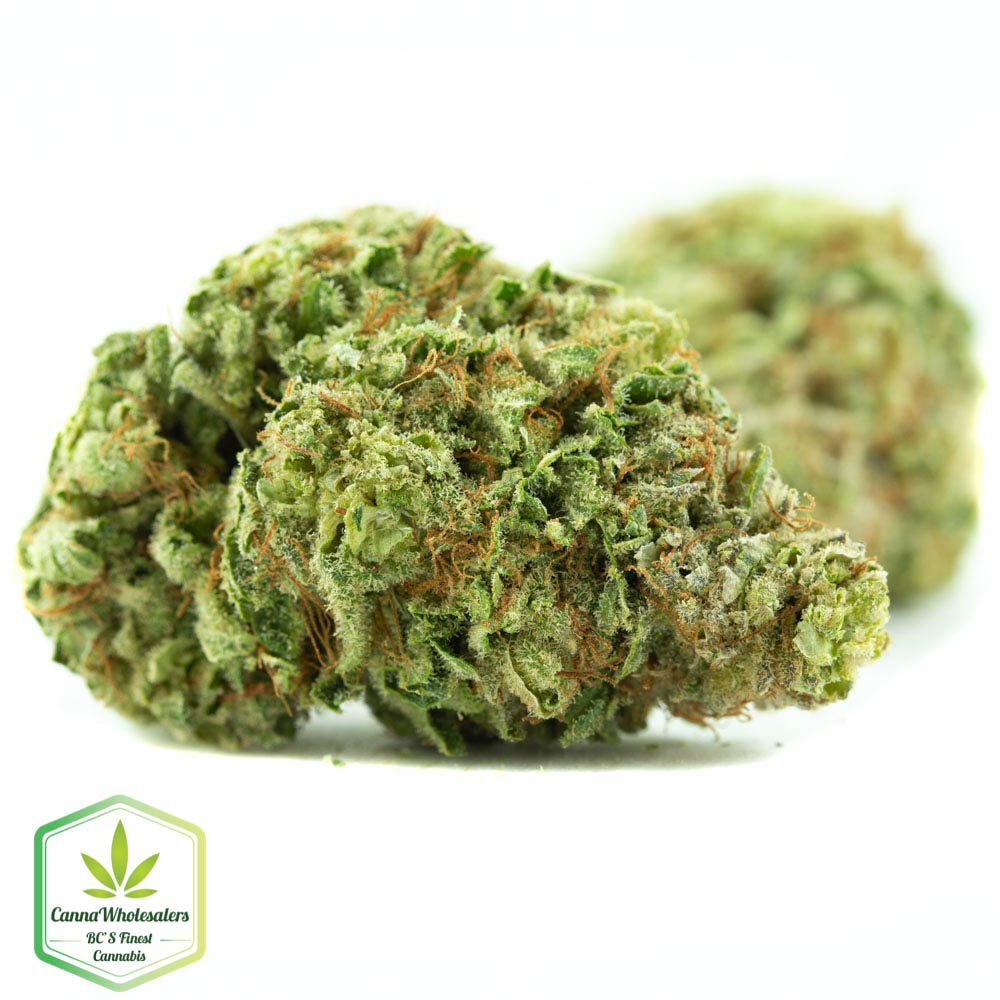 Violator Kush