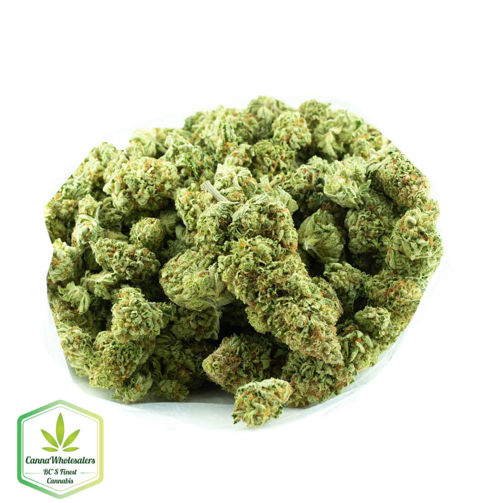 Violator Kush