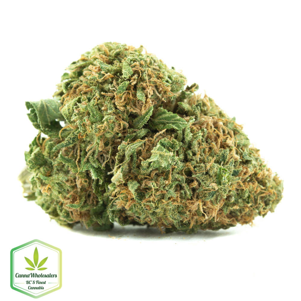 Woody Kush