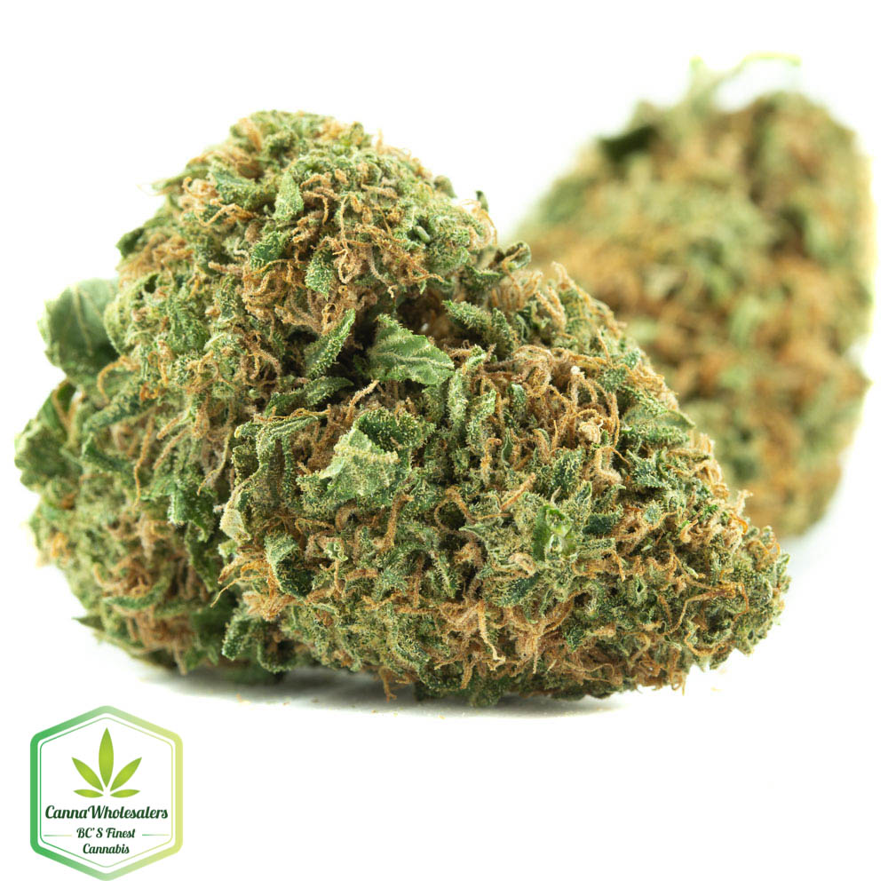 Woody Kush