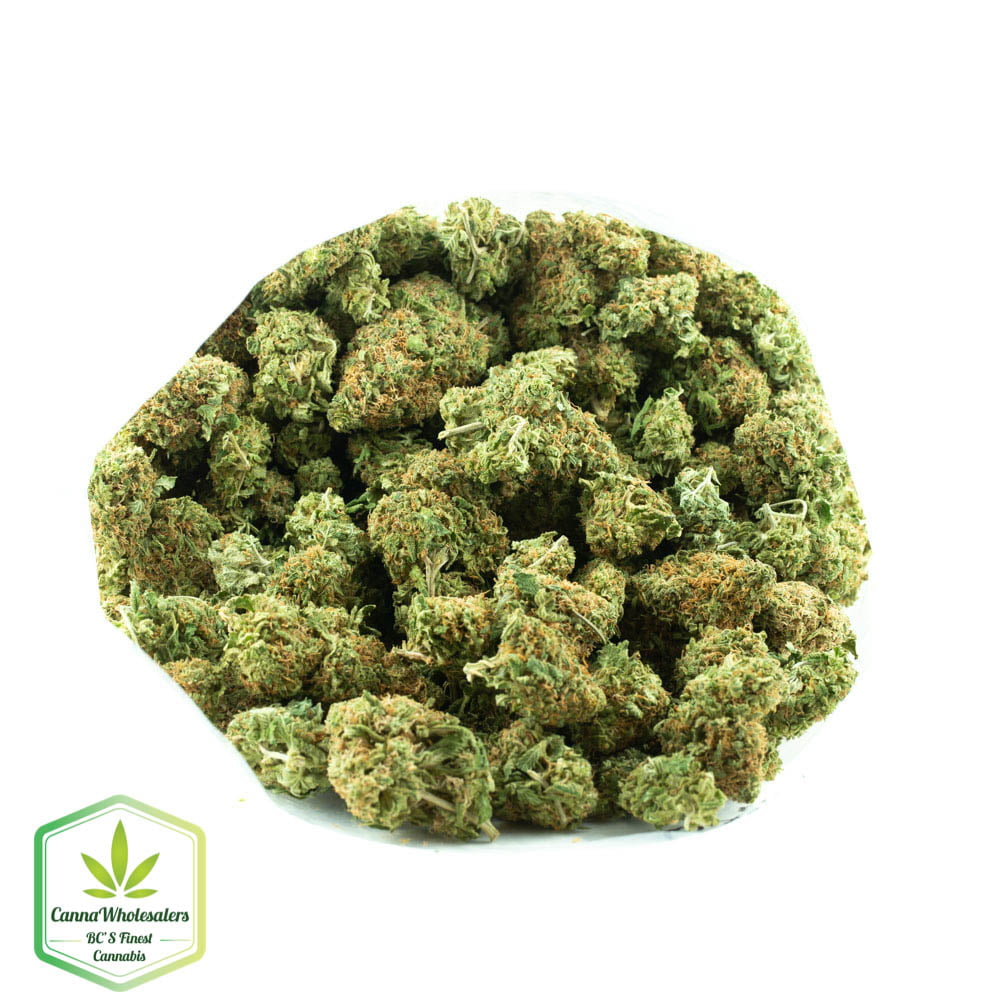 Woody Kush