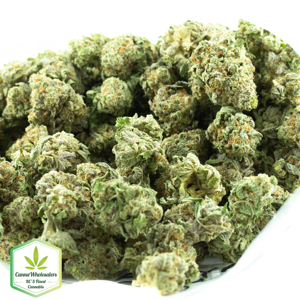 Blueberry Headband