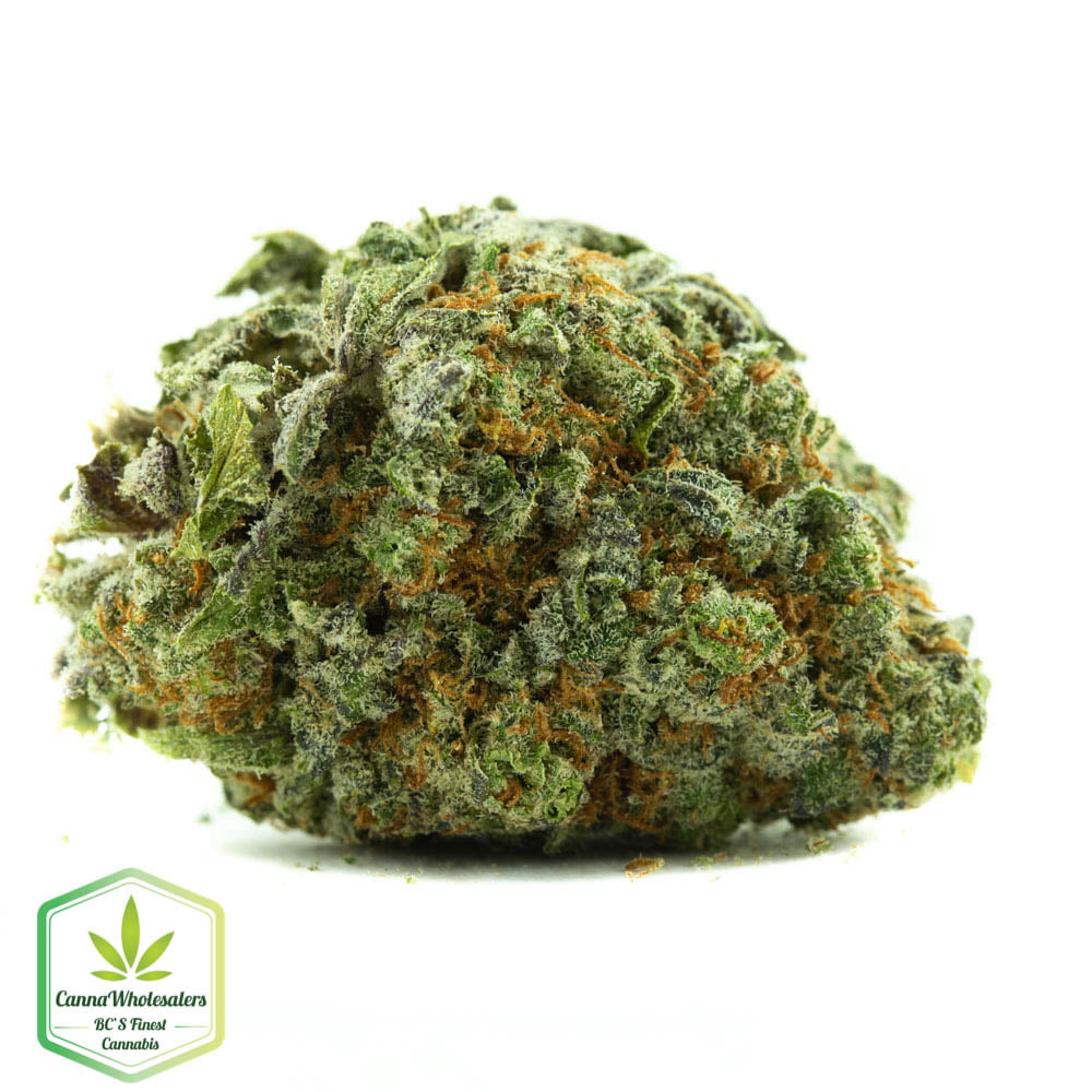 Blueberry Headband