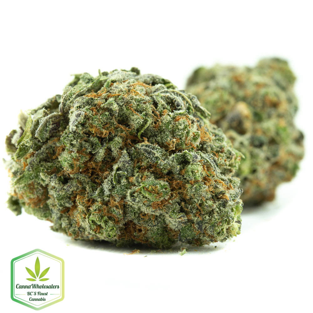 Blueberry Headband